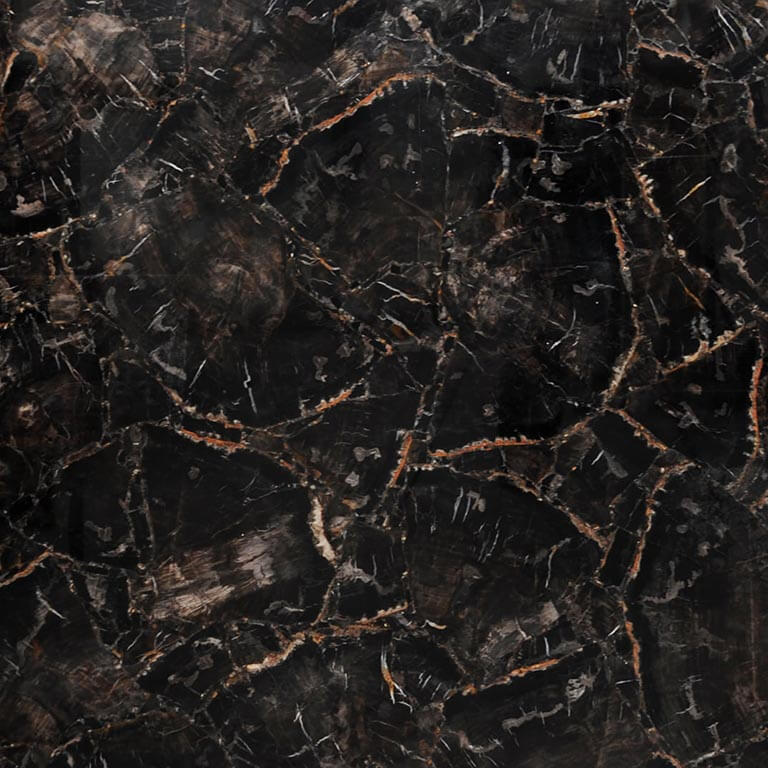 169921001_3854492811298392_1536920355766447384_n