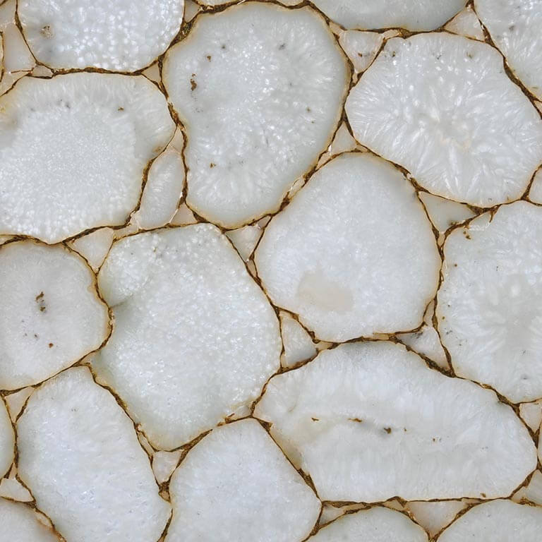 97066686_2933860313361651_9100244378269515776_n